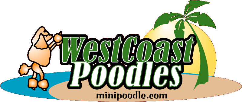 West Coast Poodles